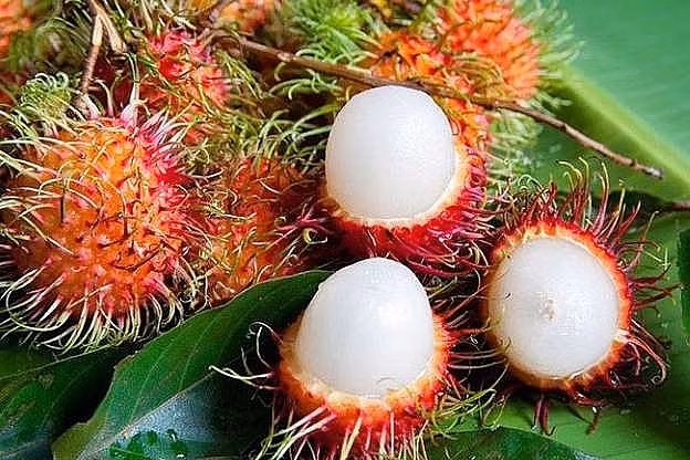 Chôm chôm – loại trái cây đặc sản miền Tây gắn liền với những ký ức tuổi thơ. Chôm chôm được trồng nhiều tại các tỉnh như Bình Dương, Bến Tre, Đồng Nai,... và có nhiều loại. Trong số đó, chôm chôm tróc hạt, chôm chôm nhãn được yêu thích hơn cả nhờ vị ngọt và thịt giòn.