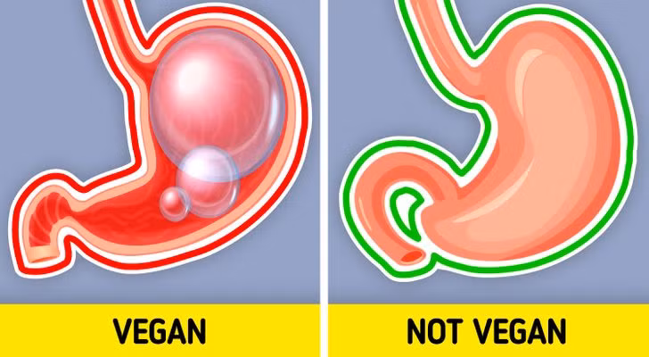 6. Bạn dễ bị đầy hơi hơn: Ăn nhiều rau như cải bruxen, bông cải xanh và bắp cải có thể khiến bạn bị đầy bụng. Điều này là do cơ thể bạn không thể xử lý tất cả các chất xơ. Do đó, bạn nên uống nhiều nước theo chế độ ăn thuần chay để đảm bảo rằng hệ tiêu hóa đang tiêu hóa thức ăn một cách khỏe mạnh.