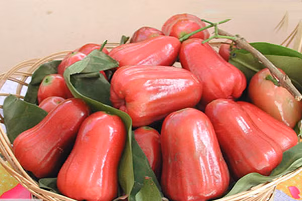 10 loi ich bat ngo cua qua roi doi voi suc khoe-Hinh-2