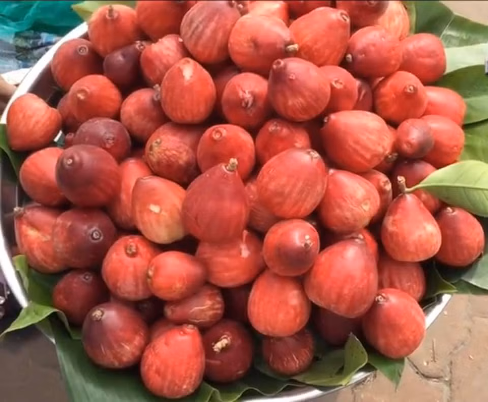 Quả điều đỏ được người Miền Nam Việt Nam gọi là “mận đỏ” hay “điều đỏ” cùng chi với mận. Loại trái cây độc lạ này có mùi thơm không lẫn vào đâu được, thịt màu trắng, mọng nước và chua ngọt đặc trưng chứ không lẫn vị chát như mận. Mùa điều đỏ miền Tây chín rộ nhất là vào khoảng tháng 11 đến tháng 12 âm lịch hàng năm.