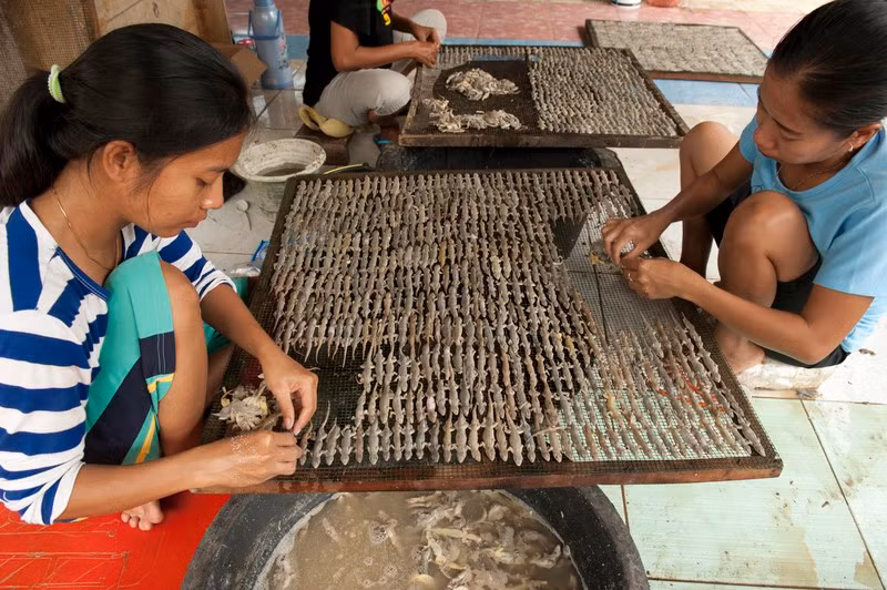 Indonesia có một nơi gọi là thánh địa thằn lằn, nơi chuyên chế biến đặc sản thằn lằn khô, nằm ở làng Kapetakang, thuộc tiểu khu Kapetak, Cirebon.