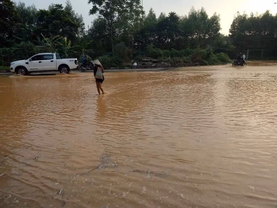 Lai 