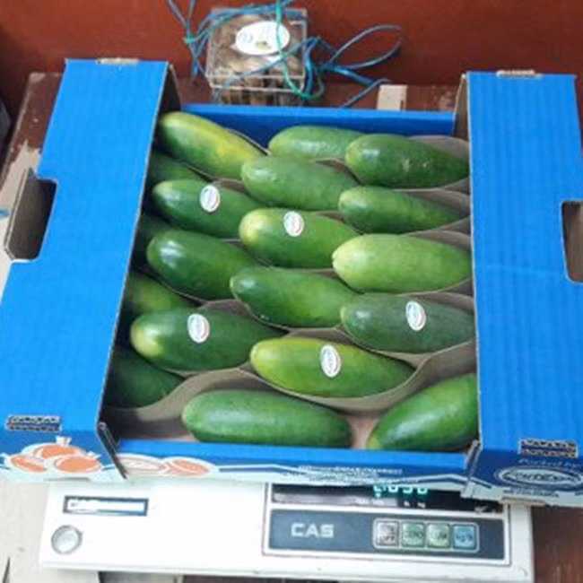 Ruột của quả này có hương vị chua, ngọt và thơm. Mỗi cây có thể cho 250-300 quả/năm.