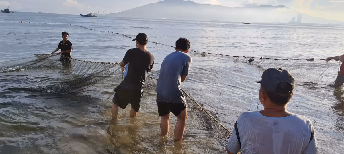 Mọi người cùng nhau hô hào để kéo thật nhịp nhàng.