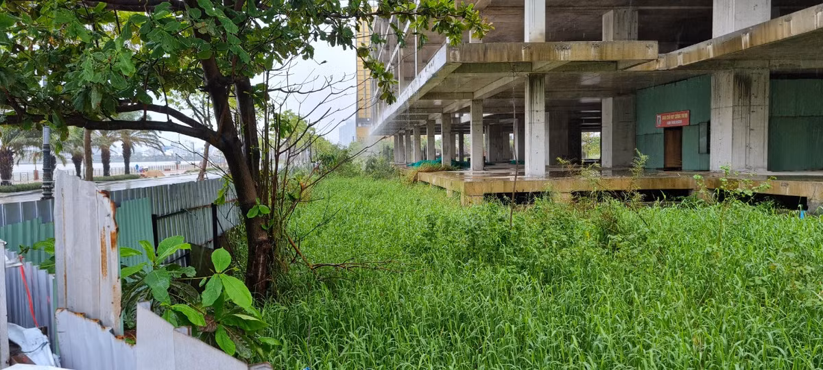 Khung cảnh hoang tàn đến khó tin tại một khu "đất vàng" giữa trung tâm thành phố.