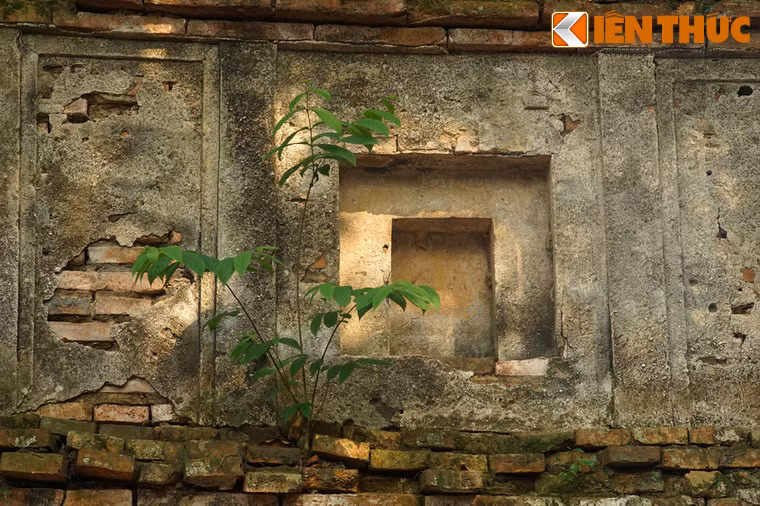 Thân tháp Cói hiện tại đang bị nghiêng nhẹ, xuất hiện một số vết nứt và bị cây cỏ dại xâm lấn, đòi hỏi tu bổ cấp thiết.