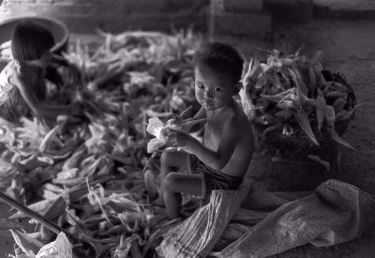 Trẻ em nông thôn phụ gia đình lột vỏ bắp ngô. Ảnh: Ferdinando Scianna/ Magnumphotos.com.