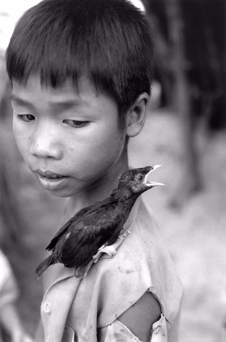 Cậu bé và chú chim sáo non. Ảnh: Ferdinando Scianna/ Magnumphotos.com.