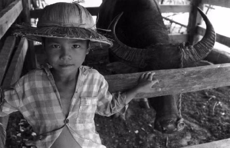 Cậu bé bên chuồng trâu. Ảnh: Ferdinando Scianna/ Magnumphotos.com.