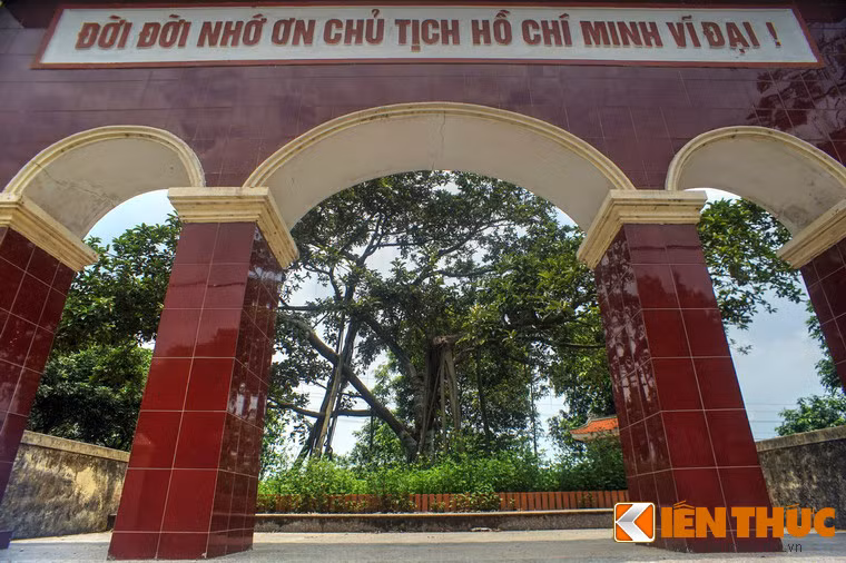 Ngược dòng lịch sử, sau khi kháng chiến chống Pháp thắng lợi, Bác Hồ trở về Thủ đô. Vào dịp Tết cổ truyền hàng năm, Người lại dành thời gian đi thăm đồng bào, chiến sĩ và trồng cây lưu niệm. Đến ngày 28/11/1959, Người chính thức phát động “Tết trồng cây”.