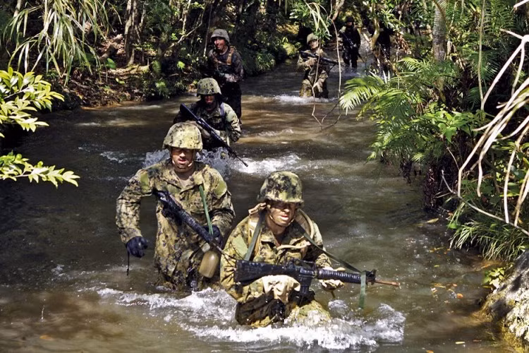 Vậy nên, quân đội Mỹ ở thời điểm hiện tại đã chi bội tiền để đưa lính tham gia các khoá huấn luyện tác chiến trong rừng nhiệt đới ở khu vực Đông Nam Á và Nhật Bản nhằm tìm ra cách thức tối ưu nhất khi "chẳng may" lại một lần nữa phải tham chiến với quy mô lớn ở môi trường này. Nguồn ảnh: FAS.