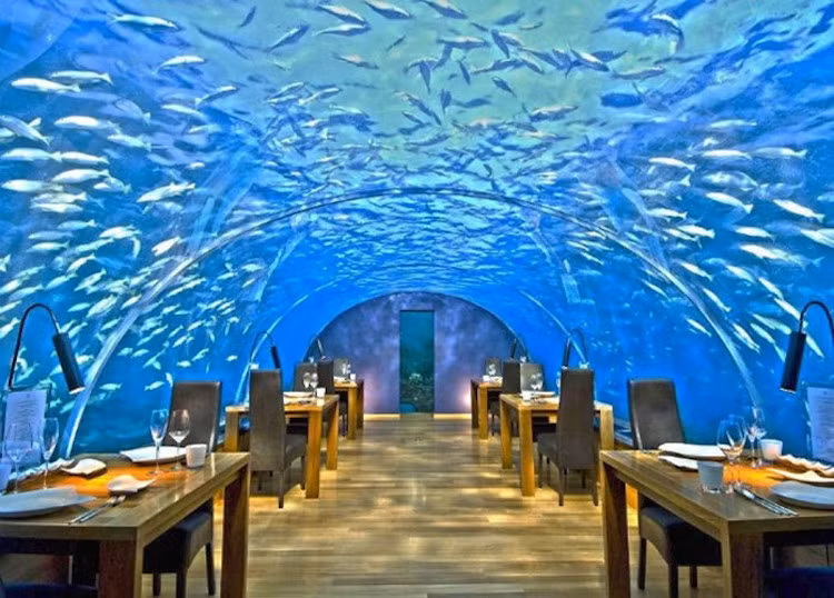 Nhà hàng dưới đáy biển ở đảo quốc Maldives: Nhà hàng độc đáo này có tên Ithaa Undersea rất long lanh và sang trọng bậc nhất thế giới và không phải lúc nào cũng có thể đến thưởng thức, bạn sẽ phải đặt bàn trước 3 tháng mới có thể vào