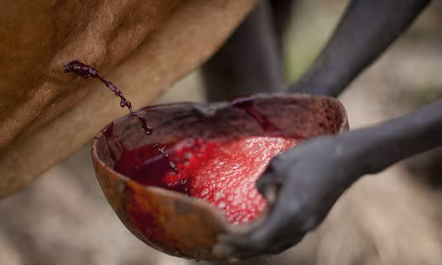 Đất nước Ethiopia, ở phía đông châu Phi được biết đến với món cocktail máu bò. Đặc sản khó nuốt này được pha cùng với một chút sữa và nước bọt của người khác. Ảnh: Flickriver.