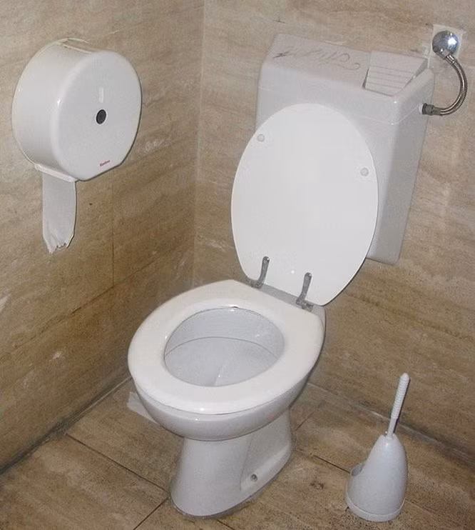 Thụy Sĩ: Nhà vệ sinh ở Thụy Sĩ có lệnh giới nghiêm, sẽ không xả nước sau 10 giờ tối vì điều này được xem là gây ô nhiễm tiếng ồn.