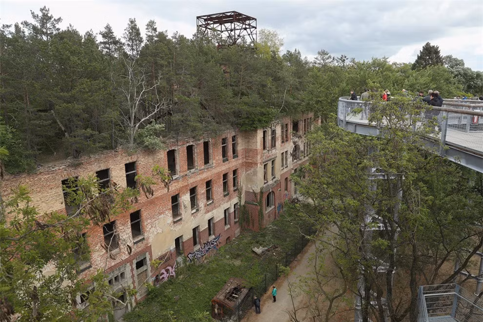  Tòa nhà bỏ hoang mọc đầy cây xanh mọc um tùm thuộc viện điều dưỡng Beelitz-Heilstätten ở Beelitz, Đức.