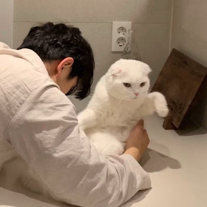 "Xong rồi, buông tôi ra nào!"