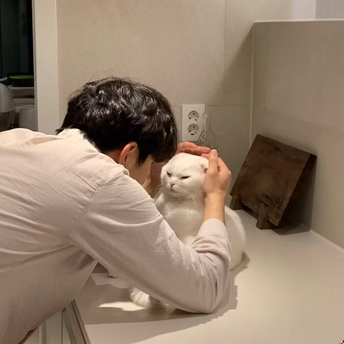 Thấy chú mèo 4 tuổi của mình đang ngồi trên kệ bếp, người chủ tiến đến gần để âu yếm.