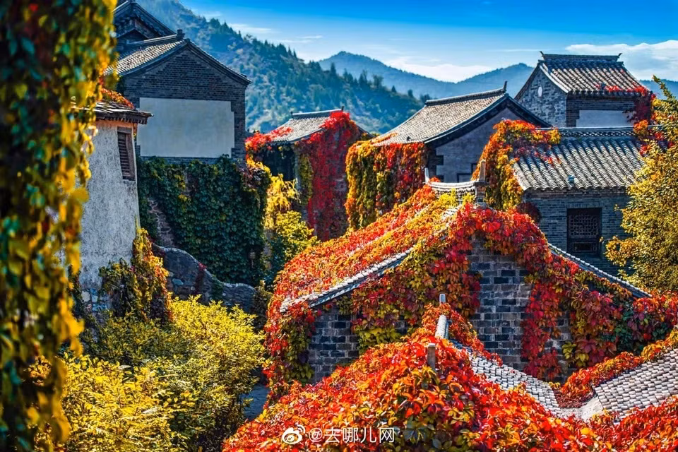 Nao long ve dep cua thuy tran menh danh “O Tran cua Bac Kinh”-Hinh-4