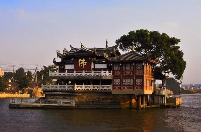 Chùa Kim Sơn còn có một cây long não cổ thụ liền thân. Cây cao hơn 20 mét, chiều rộng thân hơn 1 mét. Ở phầm trung tâm của chùa còn có một tháp cổ.