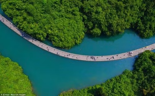 Chiem nguong cay cau go bac qua song dep den nao long-Hinh-8