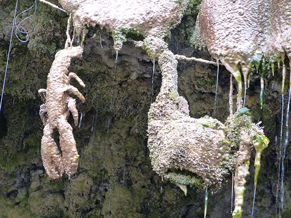 Kỳ lạ giếng nước cổ “hóa đá” mọi thứ bên trong - Hình 7 Ky la gieng nuoc co “hoa da” moi thu ben trong-Hinh-7
