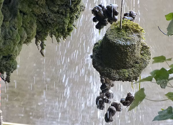 Kỳ lạ giếng nước cổ “hóa đá” mọi thứ bên trong - Hình 8 Ky la gieng nuoc co “hoa da” moi thu ben trong-Hinh-8