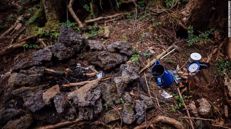 Rừng Aokigahara có diện tích rộng và cây cối rậm rạp. Nơi đây có rất ít động vật sinh sống. Vì vậy, sự tĩnh lặng đến gai người khi ở bên trong khu rừng này khiến nhiều người sợ hãi.