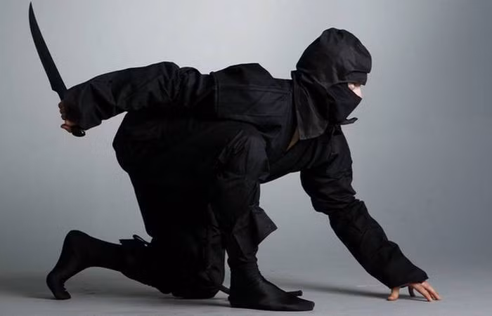 Đến năm 1596, Hattori Hanzō bị kẻ địch tiêu diệt trong một trận thủy chiến. Khi ấy, ông 55 tuổi. Sau khi qua đời, tên tuổi của ông được người đời nhớ mãi.