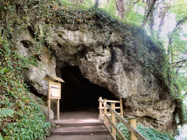 Nguyên do là bởi hang đá Petrifying Well gây kinh ngạc khi nhiều đồ vật để ở đây đột nhiên hóa đá.