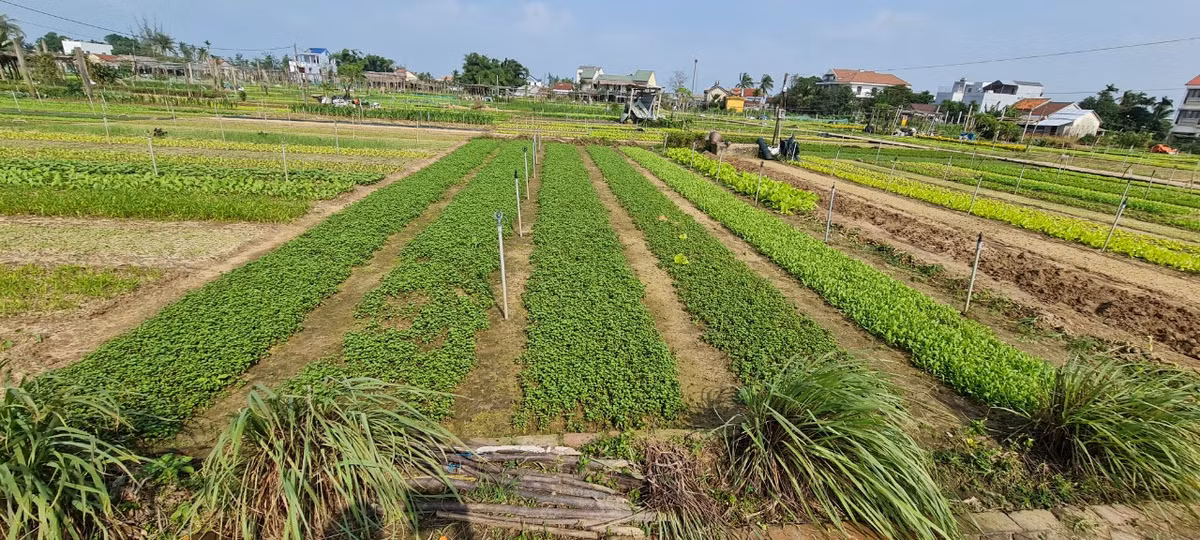 Đây là địa điểm du lịch sinh thái lý tưởng cho những ai muốn rời xa phố thị, tìm về một miền quê thanh bình, yên ả để thư giãn, tìm thấy sự bình an trong tâm hồn và rèn luyện thể chất, tăng cường sức khỏe.