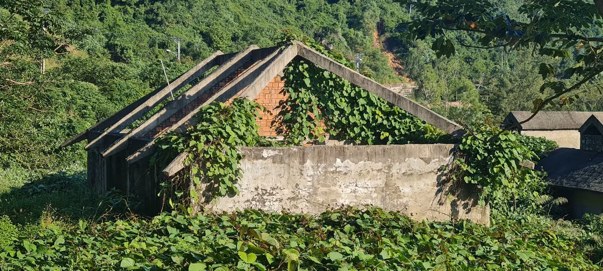 Nhiều hạng mục đang xây dựng dang dở thì tạm dừng, dây leo phủ kín.