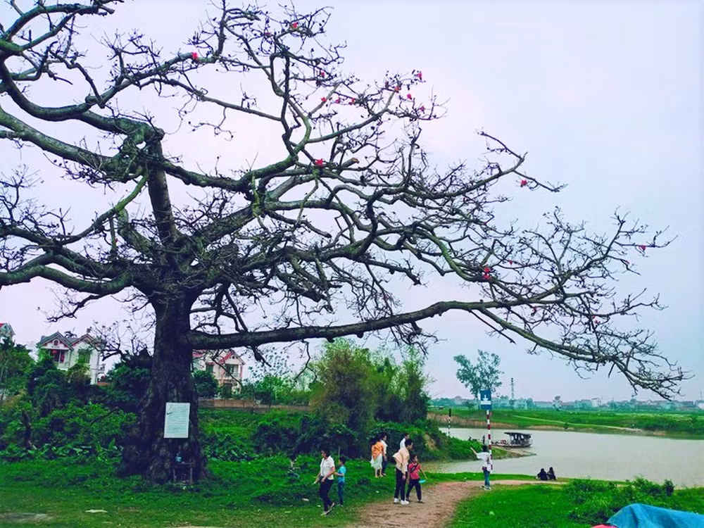 Về thăm Ngã ba Xà- nơi phát tích bài thơ “Nam quốc sơn hà” - Hình 2 Ve tham Nga ba Xa- noi phat tich bai tho “Nam quoc son ha”-Hinh-2