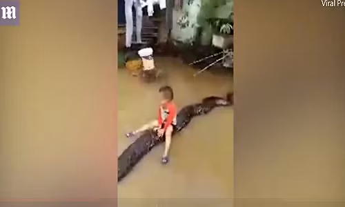 Bé trai Thanh Hóa cưỡi trăn trong mưa ngập lên báo Anh Be trai Thanh Hoa cuoi tran trong mua ngap len bao Anh