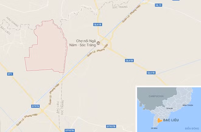 Bac Lieu: Bat duoc ca tre dai gan 1m-Hinh-3