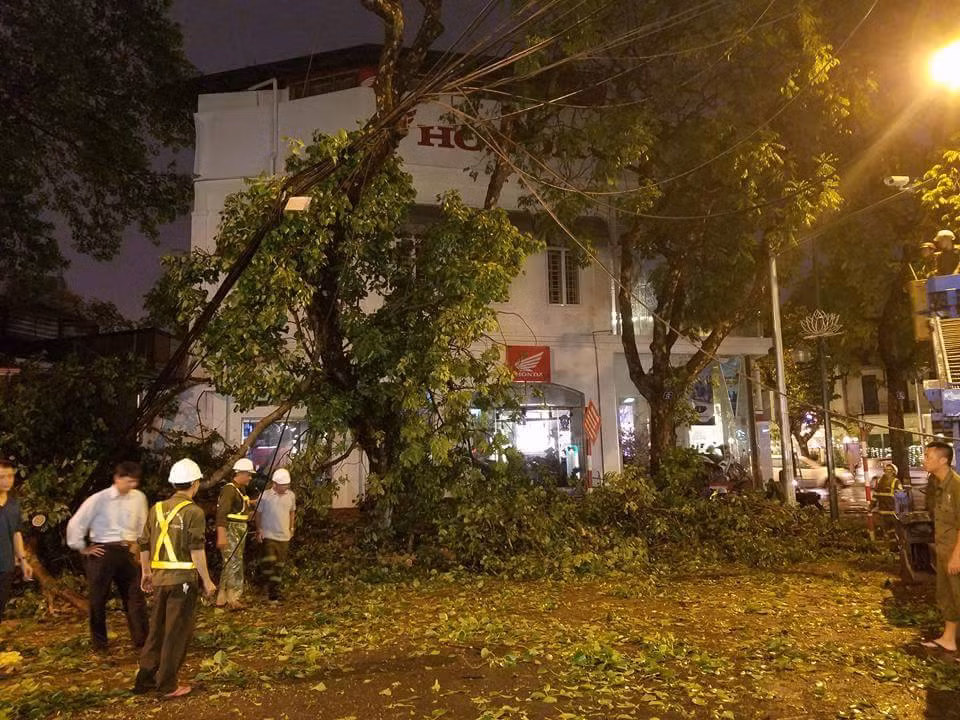 Ha Noi: Cay xanh do sau mua lam mot nguoi nhap vien