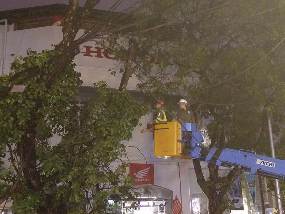 Ha Noi: Cay xanh do sau mua lam mot nguoi nhap vien-Hinh-5