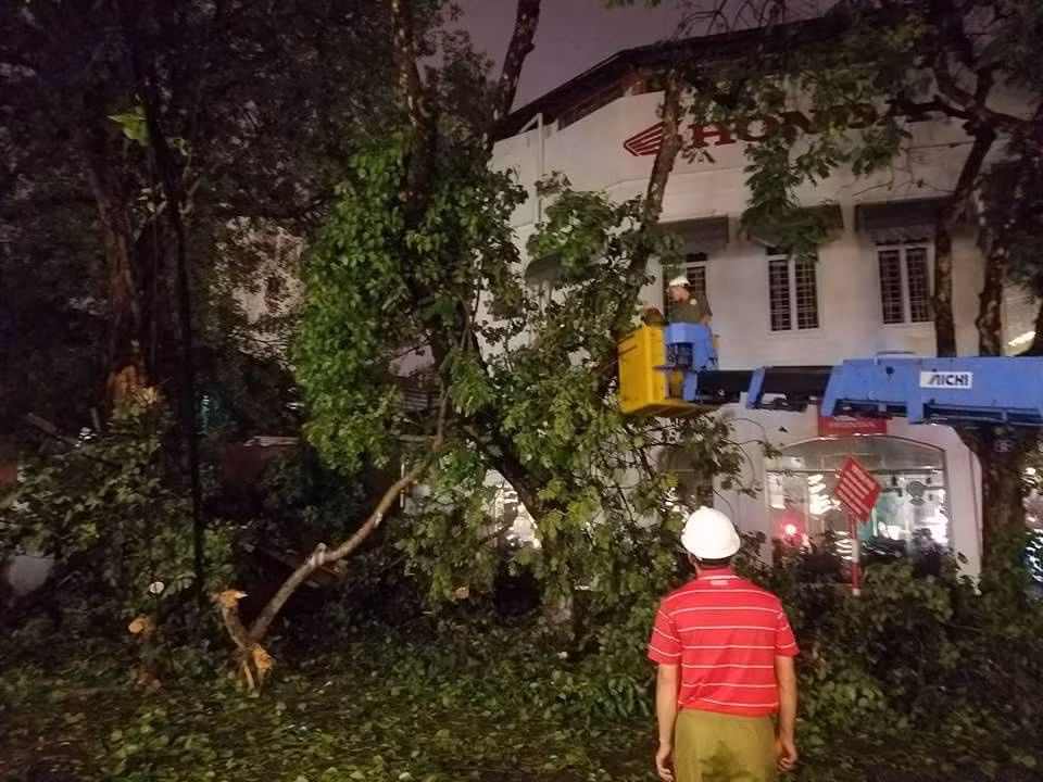 Ha Noi: Cay xanh do sau mua lam mot nguoi nhap vien-Hinh-3