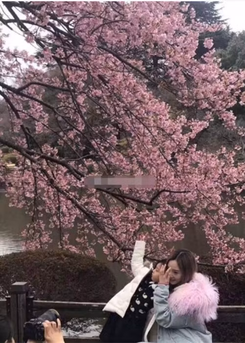 Cách đây ít ngày, Lý Tiểu Lộ đưa con gái Điềm Hinh đi du lịch Nhật Bản mà không có Giả Nãi Lượng đi cùng. Ảnh: Sina
