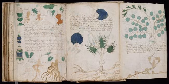 Bản thảo Voynich - "bản thảo bí ẩn nhất thế giới" gồm 240 trang, được viết bằng một ngôn ngữ hoàn toàn không được biết đến, chứa đầy những hình vẽ màu sắc với các sơ đồ và các loài thực vật. Những dòng chữ bí ẩn này ra đời trong khoảng giữa năm 1404 và 1438. Nguồn Elusive Muse/flickr