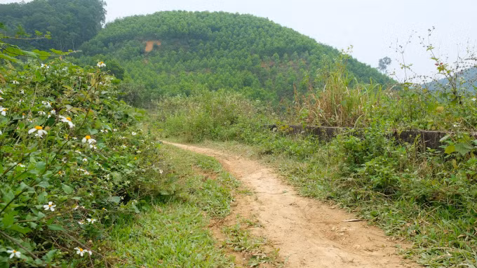 Nghi ngu voi vo nguoi khac, nguoi dan ong gap hoa