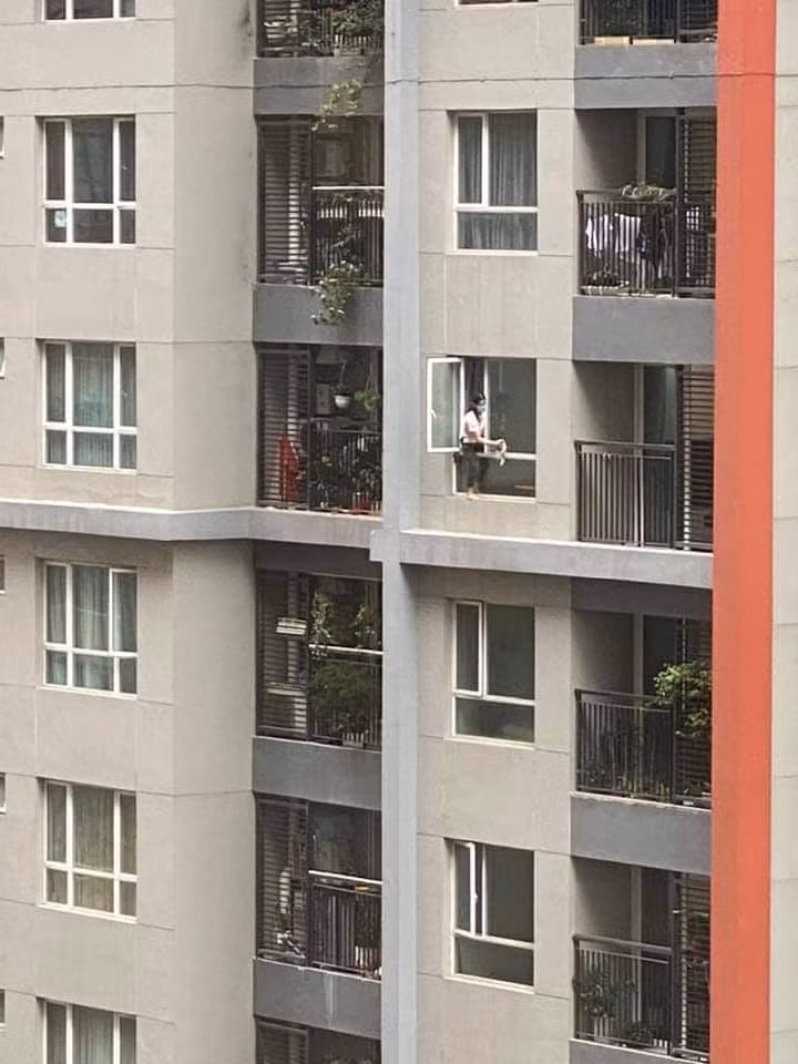 Không chỉ lau sạch mặt trong, người giúp việc còn trèo cả ra ngoài bệ cửa để lau mặt ngoài cửa kính. Trong khi đó, trên người không hề có 1 vật cụ bảo hộ lao động nào.
