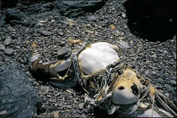 Trên đây là hình ảnh George Mallory, người Châu Âu đầu tiên thử trinh phục đỉnh Everest vào năm 1924. Xác chết của ông nằm tại đó cho tới tận ngày hôm nay và vẫn không ai biết ông tử vong trên đường đi lên hay đi xuống và liệu ông đã chinh phục được đỉnh núi này hay chưa.