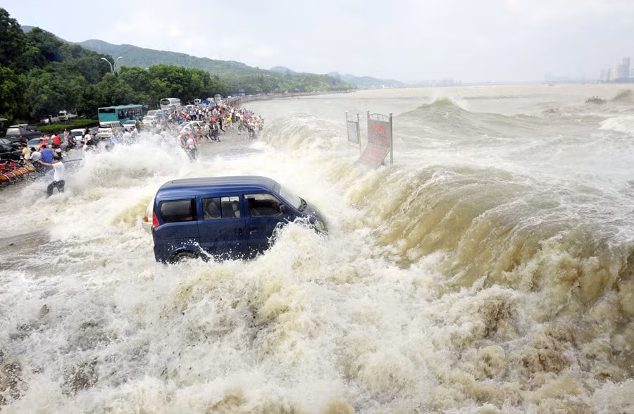 Và đến khi nước tràn lên thì tất cả lại cùng bỏ chạy.