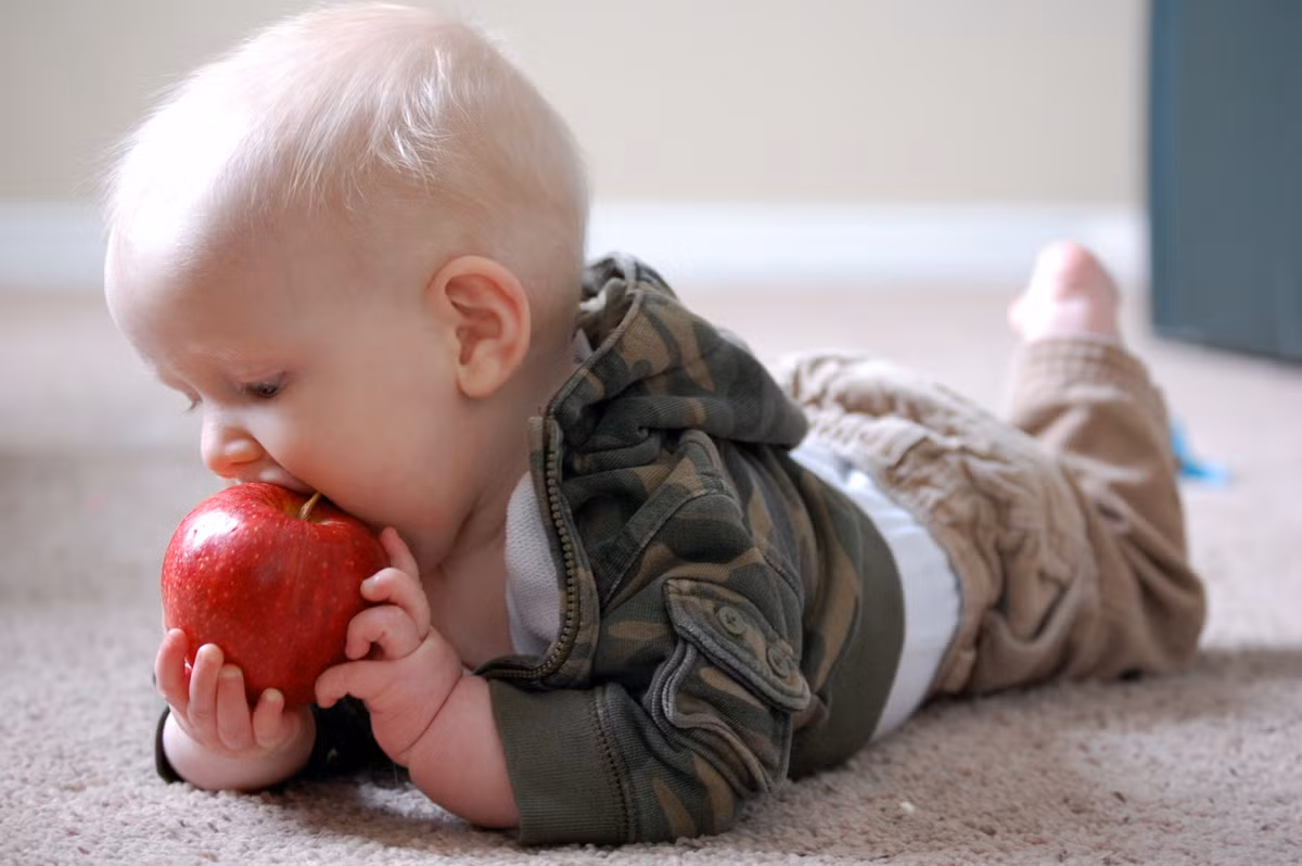 Táo: Trong táo có chứa rất nhiều vitamin A, B, C và chất xơ. Ngoài ra, lượng nước trong táo cũng rất lớn giúp bổ sung nước cho cơ thể làm tăng độ đàn hồi, độ mịn của da.
