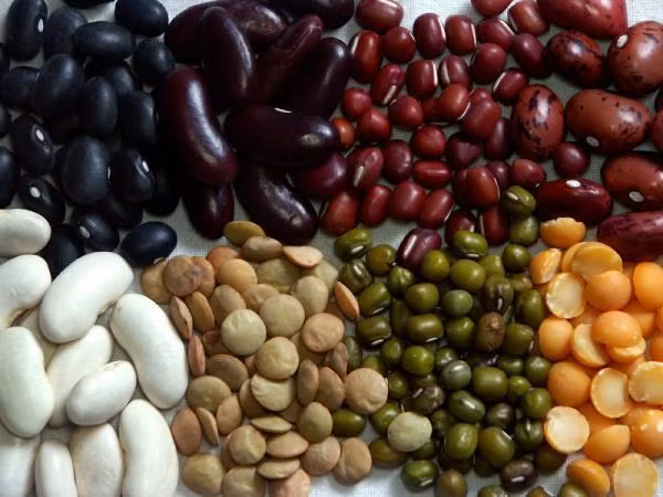 Hạt đậu cũng là một loại thực phẩm có chứa rất nhiều canxi, vitamin E và chất xơ, giúp bé phát triển cả về não bộ. Tuy nhiên, với trẻ em dưới 1 tuổi bạn cần có phương pháp chế biến đặc biệt như xay nhuyễn, tránh để trẻ ăn nguyên hạt vì dễ dẫn đến hóc, nghẹn.