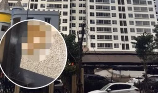 Bà Vũ Thị Thanh Ngân - Trưởng ban đại diện lâm thời toà nhà cho biết: Đến chiều cùng ngày đã xác định được người gây ra việc này. Theo đó, một bé trai khoảng 7 - 8 tuổi sinh sống trong tòa nhà Capital Garden do đau bụng, bố mẹ vắng nhà nên đã "đại tiện" ra thang máy P2. Mẹ cháu bé sau khi biết tin cũng đã gửi lời xin lỗi tới cư dân sống trong toà nhà.