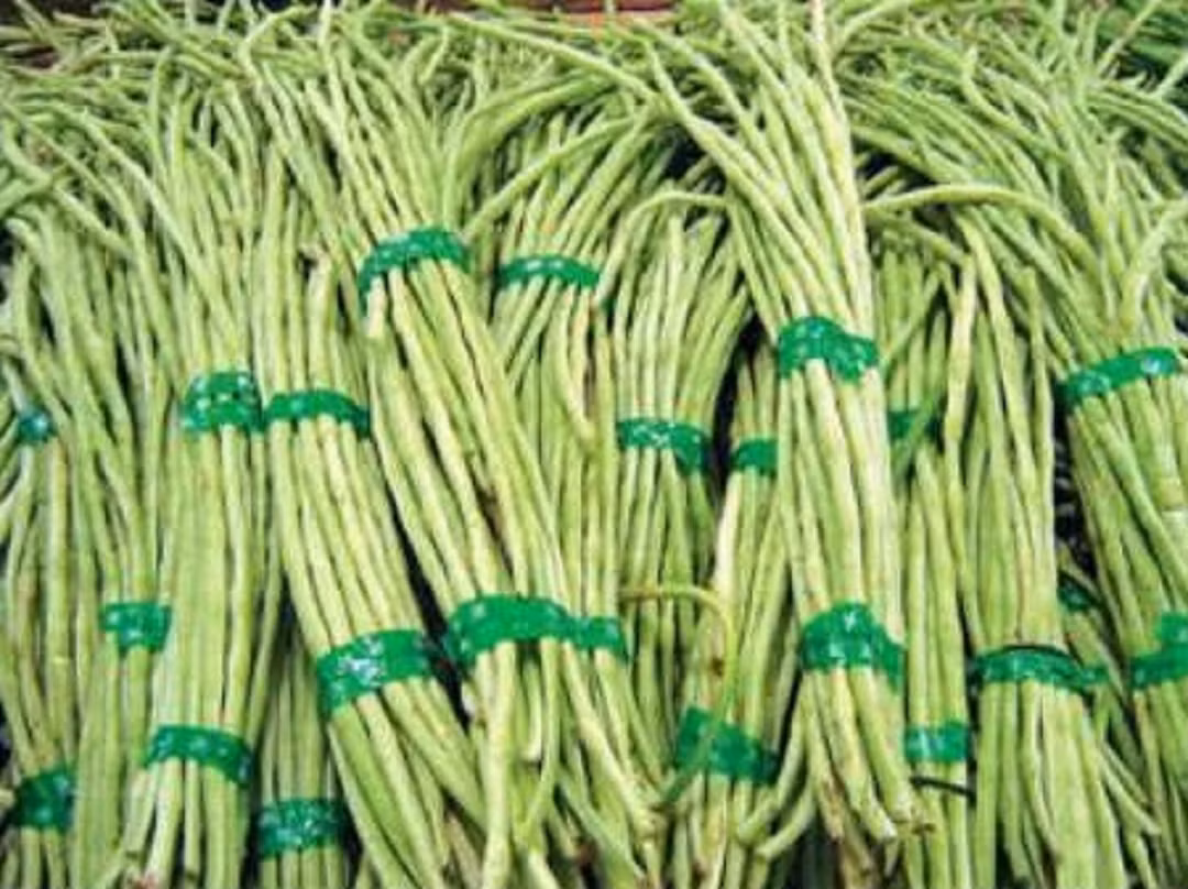 Những loại rau mùa hè “ngậm” nhiều hóa chất nhất chợ Nhung loai rau mua he “ngam” nhieu hoa chat nhat cho