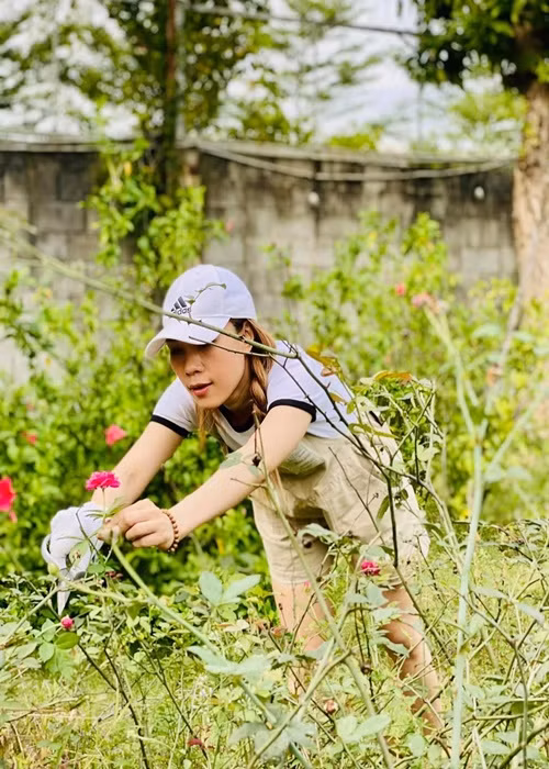 Hình ảnh Mỹ Tâm cắt hoa hồng trong vườn khiến nhiều fan thích thú. Ảnh: Instagram Mỹ Tâm.