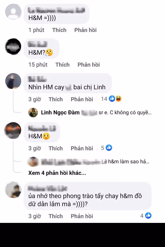 Cư dân mạng ngay lập tức đặt ra dấu hỏi lớn cho Linh Ngọc Đàm về việc lộ thương hiệu từng lên tiếng tẩy chay.