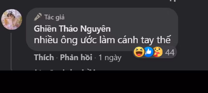 Chính Thảo Nguyên còn tự tin khi cho rằng: "Rất nhiều người muốn làm cánh tay" thế nhưng chính sự tự tin quá đà làm cho người xem phản ứng ngược.